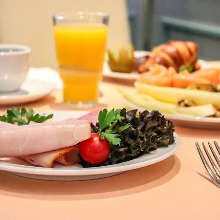 Amadeus Frankfurt 4* Fráncfort del Meno